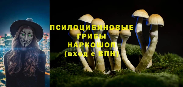 герыч Осташков