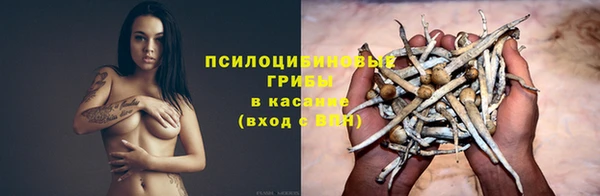 прущие грибы Алексин