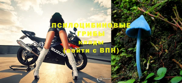прущие грибы Алексин