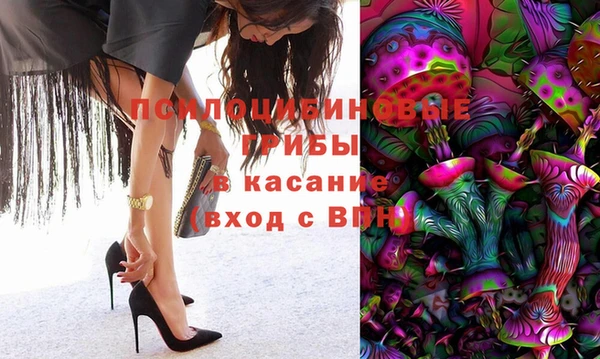 прущие грибы Алексин