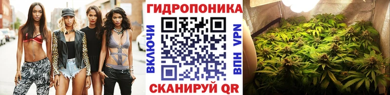 Канабис гибрид  ОМГ ОМГ ССЫЛКА  Калач-на-Дону  что такое  